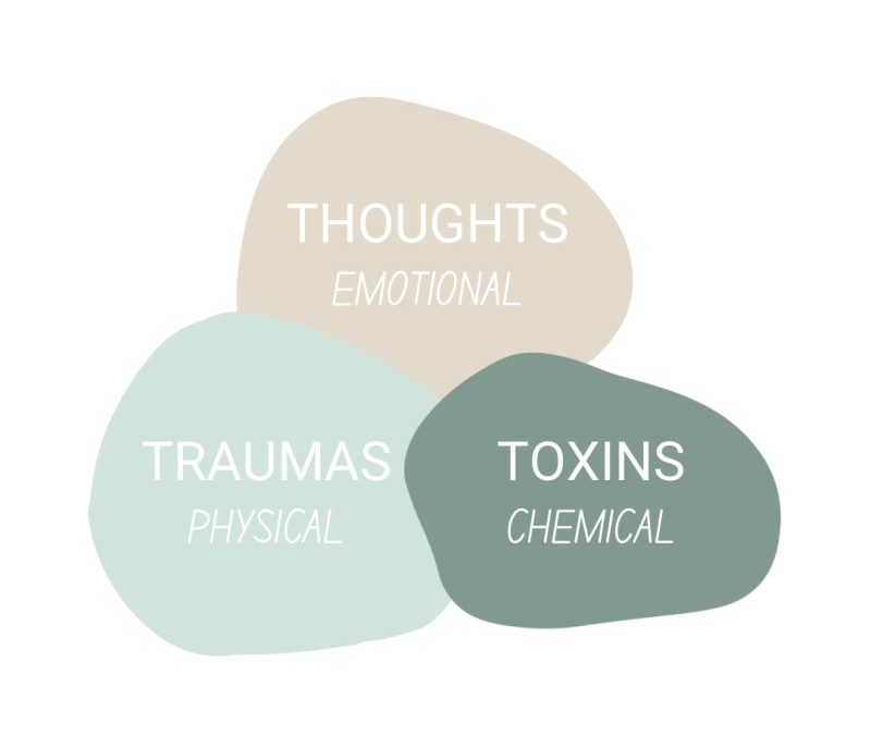 Unveiling the Triune of Heath: how Trauma, Toxins and Thoughts impact your Well-being