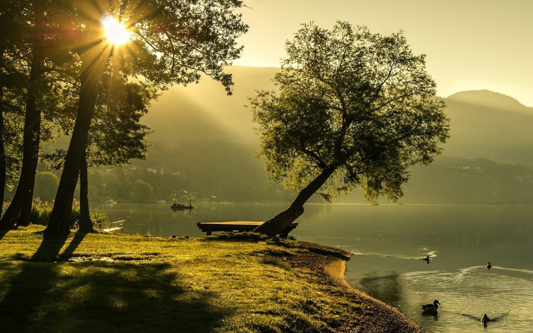 Where does Healing begin?