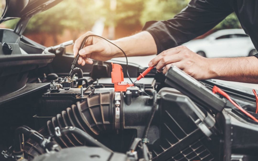 Our Body, Our Vehicle