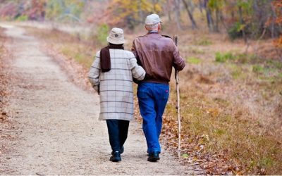 The Balancing Act of Aging and Walking