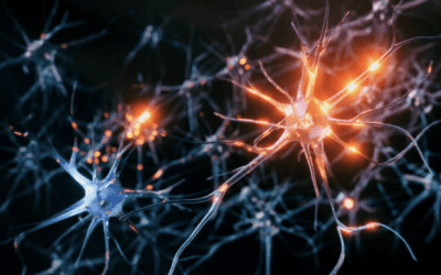 Balancing the Autonomic Nervous System: How Chiropractic Care Can Help