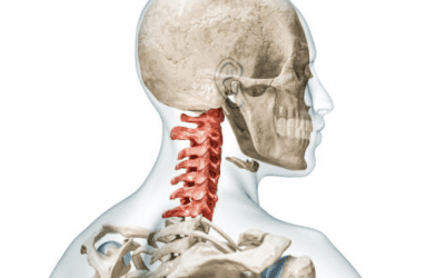 The Importance of Upper Cervical Muscles in Proprioception and Movement Control
