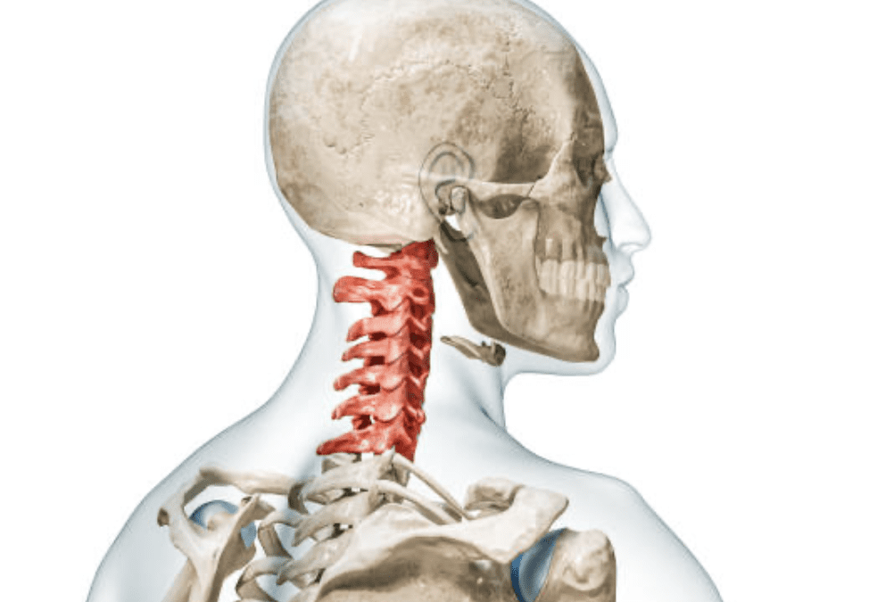 The Importance of Upper Cervical Muscles in Proprioception and Movement Control